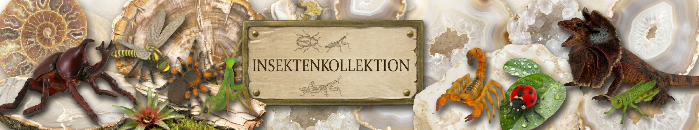 Insektenkollektion