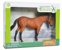 * LUSITANO STUTE BAYFARBEN 1:12 DELUXE,  WINDOW BOX