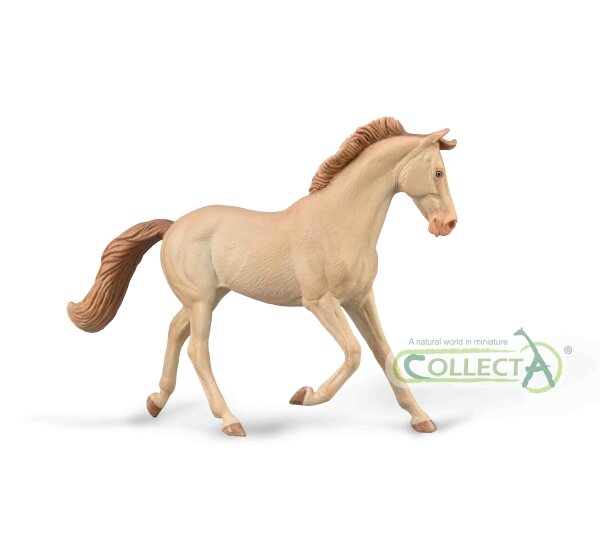 VOLLBLUTSTUTE - PERLINO (XL)