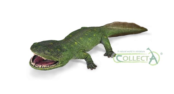 KOOLASUCHUS CLEELANDI 1:20 (DELUXE)