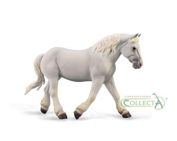 BOULONNAIS STUTE - GRAU (XL)