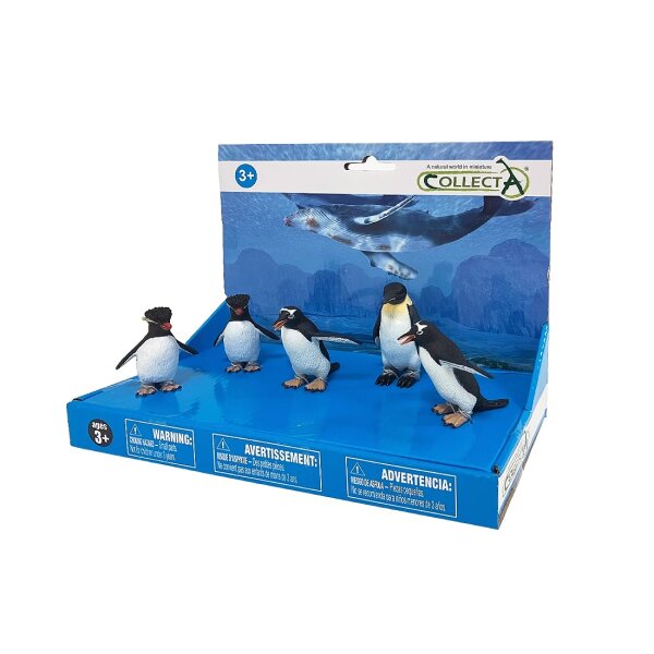 5 ST PINGUIN SET PLATFORM