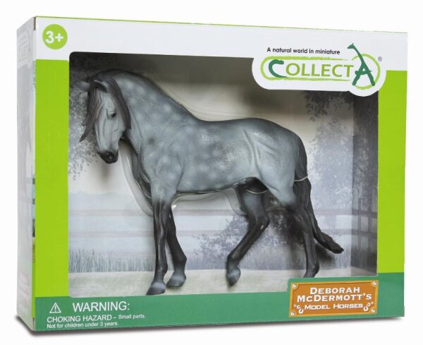 ANDALUSISCHER HENGST DUNKELAPFELSCHIMMEL (WB)