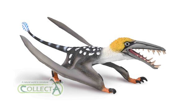 DEARCGIATHANACH MIT BEWEGLICHEM KIEFER - 1:3 (DELUXE)