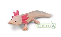 AXOLOTL (M)