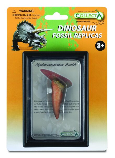 SPINOSAURUS ZAHN, Display-Kästchen