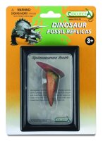 SPINOSAURUS ZAHN, Display-Kästchen