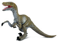 VELOCIRAPTOR (M)