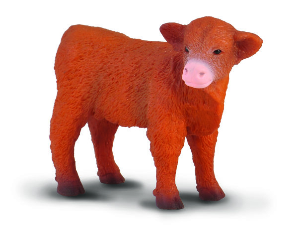 * SCHOTTISCHES HOCHLANDKÄLBCHEN, STEHEND (S)