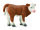 HEREFORD KÄLBCHEN - STEHEND (S)