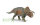 FURCATOCERATOPS (M)