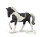 WARMBLUTHENGST - BLACK TOBIANO  (XL)