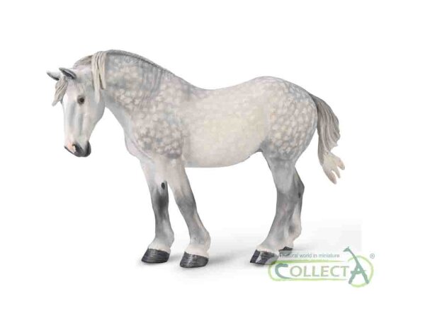 PERCHERON-STUTE - APFELGRAU (XL)