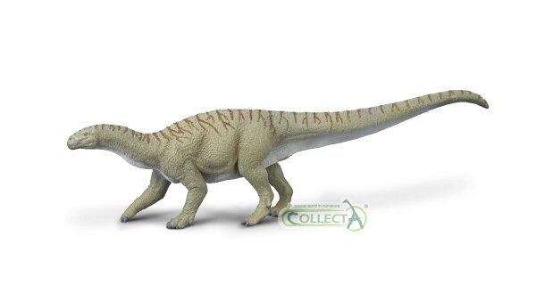 INGENTIA PRIMA - 1:40 SCALE (XL)