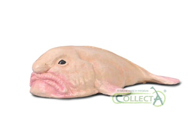 BLOBFISCH (S)