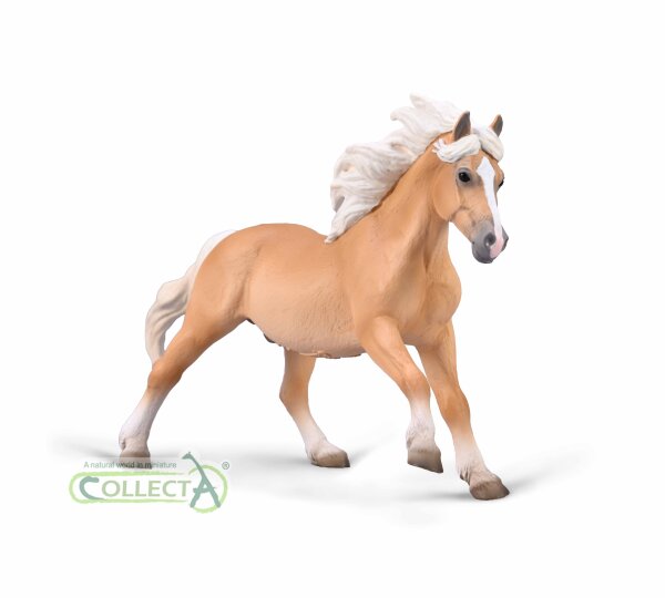 HAFLINGER HENGST (XL)