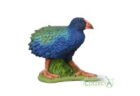 TAKAHE (M)