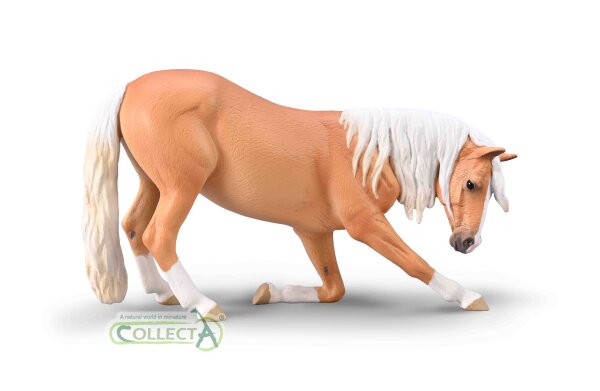 VERBEUGENDE LUSITANO STUTE PALOMINO (XL)