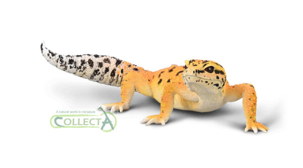 LEOPARDGECKO (L)