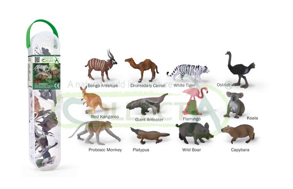 COLLECTA BOX MIT MINI WILDTIERE 3 (PC)