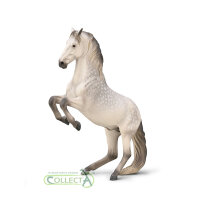 Lipizzanerhengst Apfelschimmel (XL)