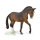 Trakehner Hengst Seal Bay (XL)