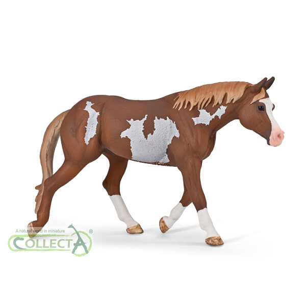 American Paint Horse Hengst Chestnut Overo (XL)