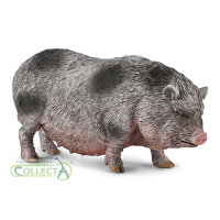 Hängebauchschwein (M)