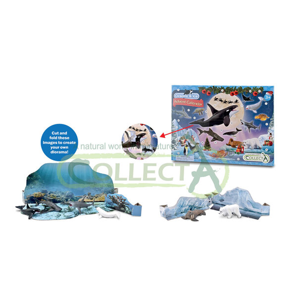 Adventskalender „Ozeane & Eis“