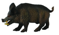 WILDSCHWEIN - EBER (M)