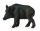 WILDSCHWEIN - BACHE (M)