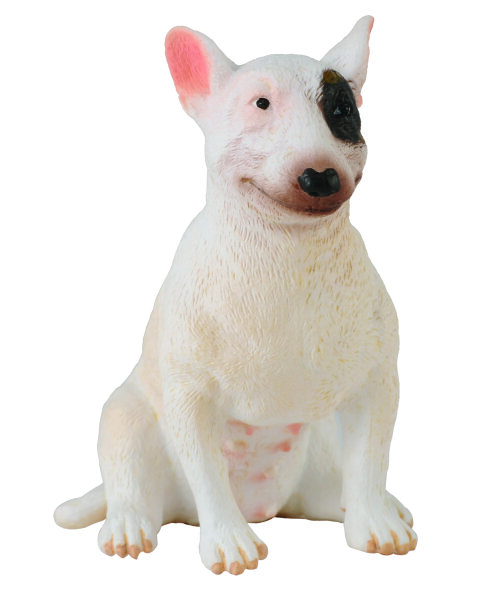 * BULLTERRIER HÜNDIN (M)