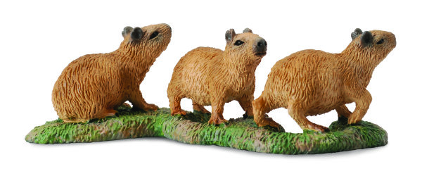 CAPYBARA-JUNGE (S)