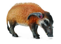 PINSELOHRSCHWEIN (L)