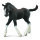 SHIRE HORSE FOHLEN SCHWARZ (M)