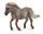 SHETLAND PONY APFELSCHIMMEL (M)