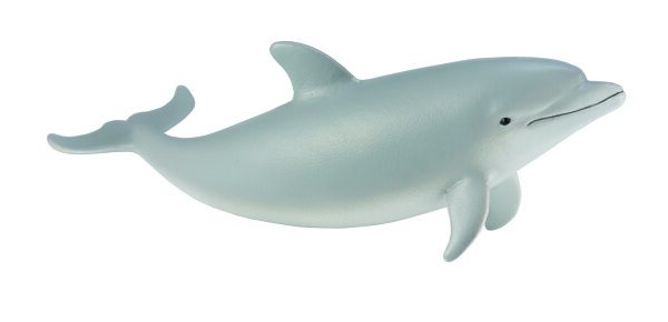 GROSSES TÜMMLERKALB (S)