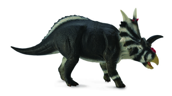 XENOCERATOPS (L)