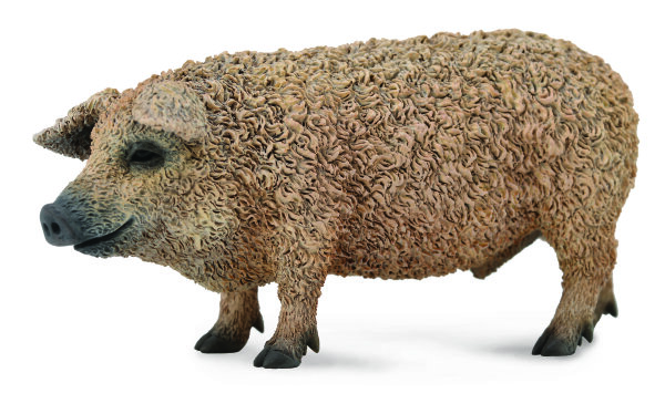 MANGALICA-SCHWEIN (M)