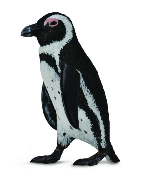 SÜDAFRIKANISCHER PINGUIN (S)