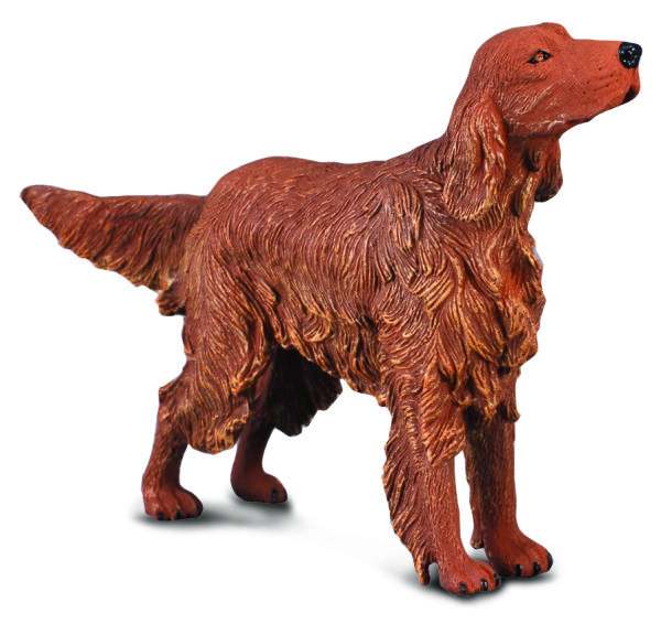 * IRISH RED SETTER (L)
