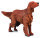 * IRISH RED SETTER (L)