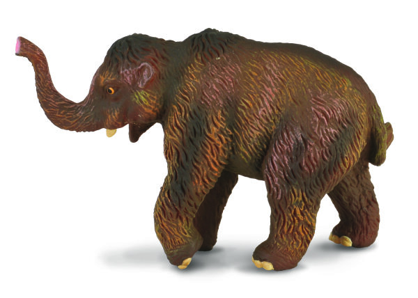 WOLLHAARMAMMUT KALB (M)