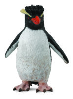 FELSENPINGUIN (S)