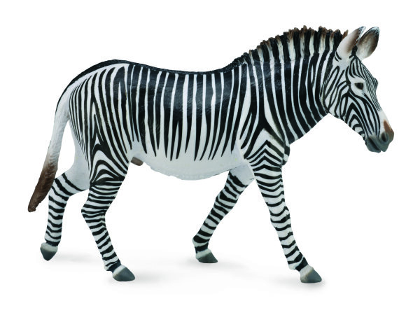 GREVYZEBRA (XL)