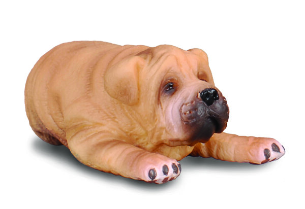 * SHAR-PEI - WELPE (S)