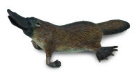 PLATYPUS