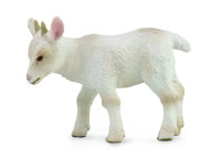 ZIEGENJUNGES – GEHEND (S)