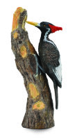 IVORY-BILLED WOODPECKER