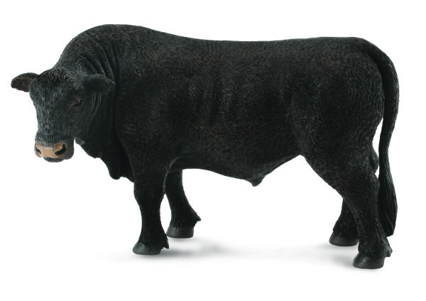 BLACK ANGUS STIER (L)